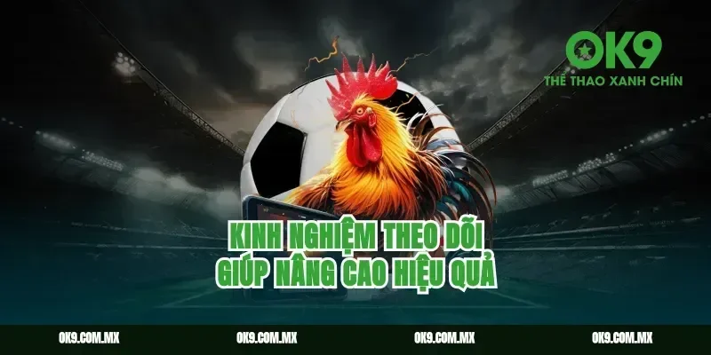 Kinh Nghiệm Theo Dõi Giúp Nâng Cao Hiệu Quả